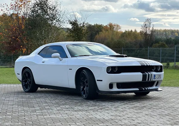 dodge Dodge Challenger cena 164000 przebieg: 48000, rok produkcji 2019 z Katowice